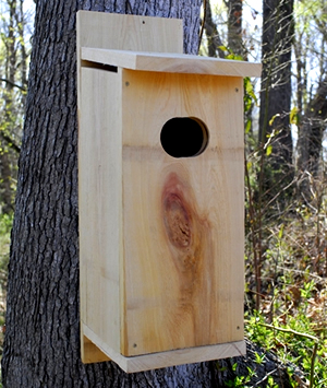 wood-duck-box-20130402