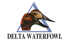 delta waterfowl-thumb