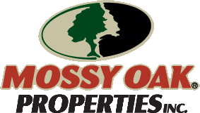 Mossy-Properties-Logo