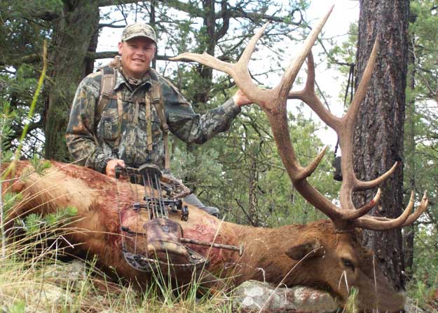 archery-bull-elk-grogan