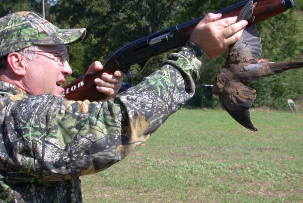dove-hunter dove hunter aiming at dove
