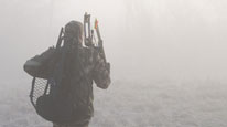 Morning Mist