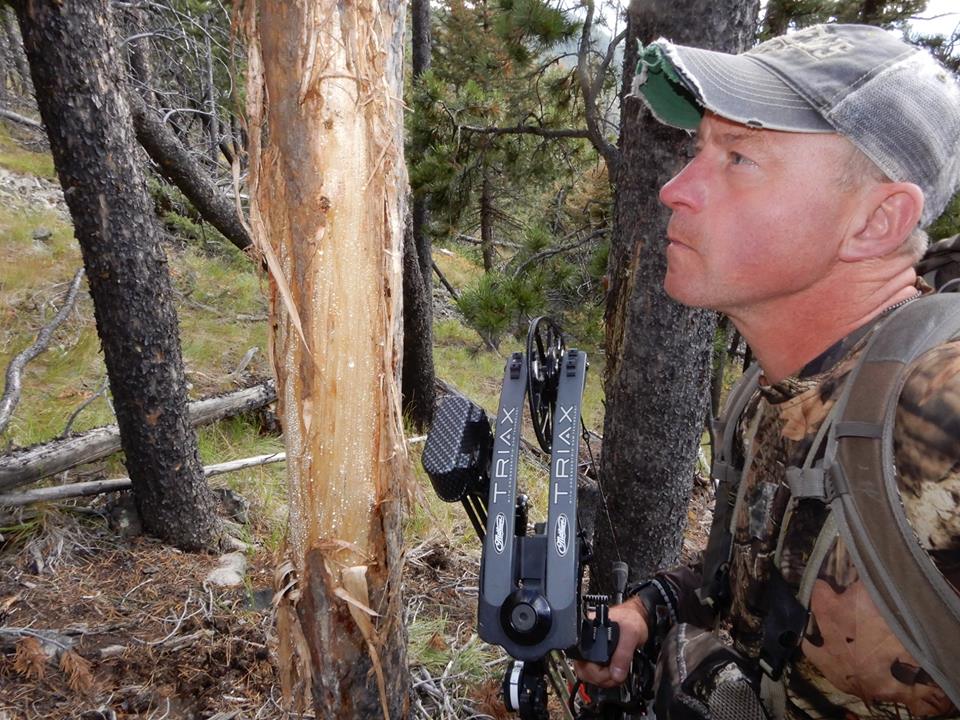 Public Land Elk Tree Rub