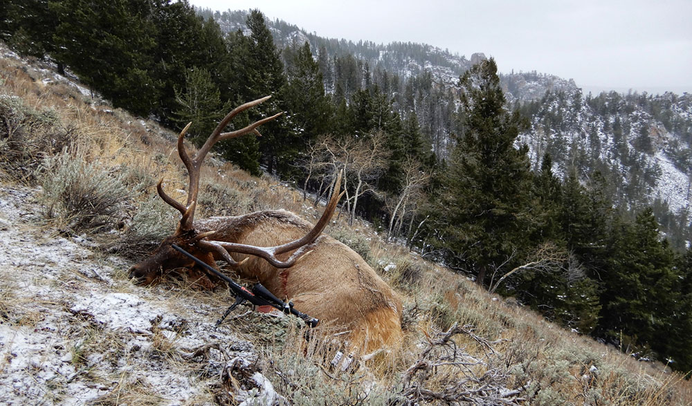 Mark Kayser elk vertical slope