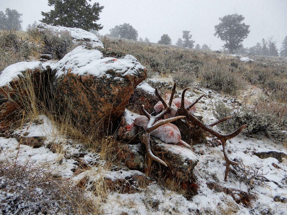 Mark Kayser packing out elk