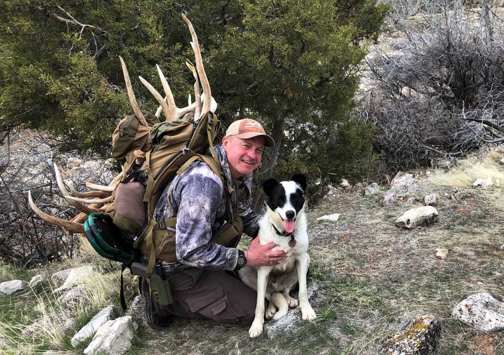 shed hunting dog