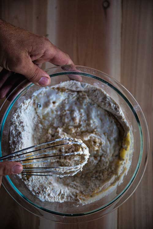 squirrel dumplings recipe