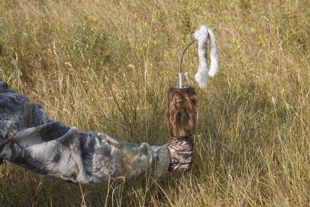 coyote prey decoy