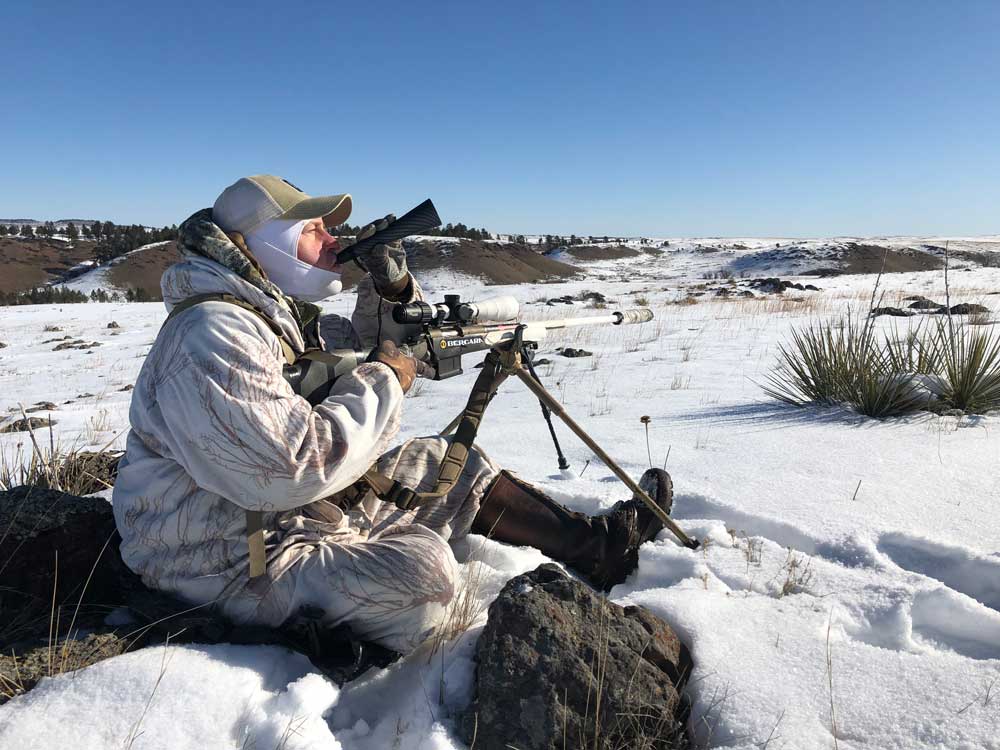 using a coyote call