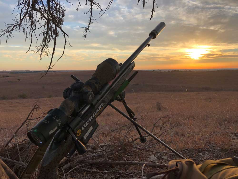 high ground coyote setup