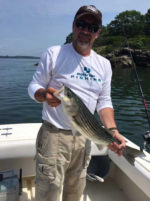 Bob Humphrey striped bass