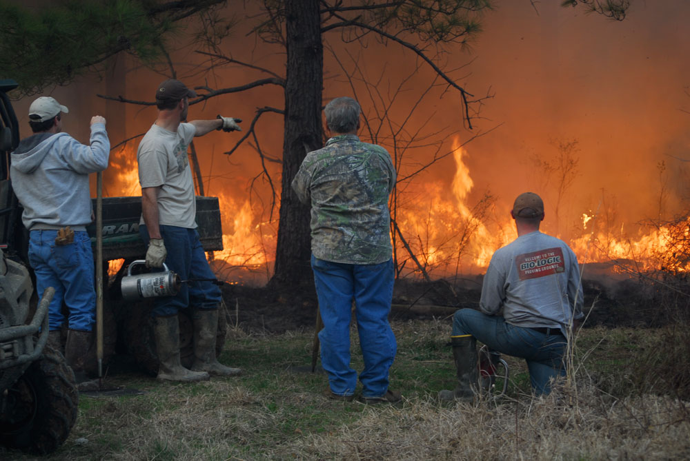 controlled burn