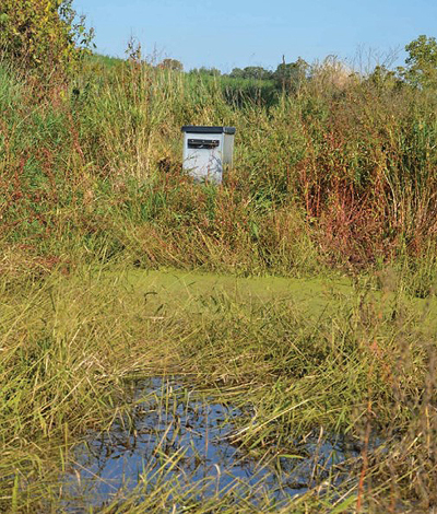 duck hole water control