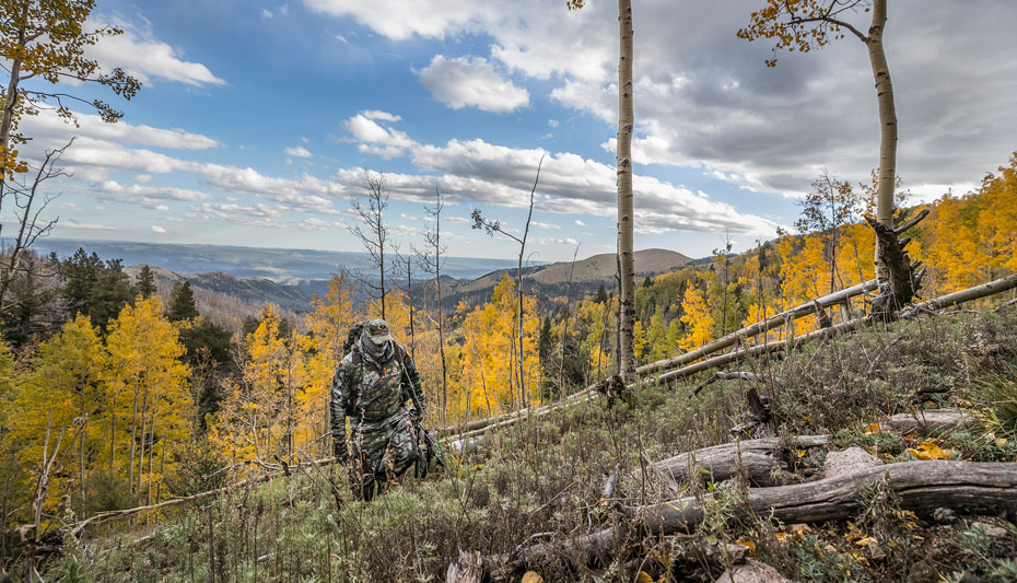 elk hunting in mountain country