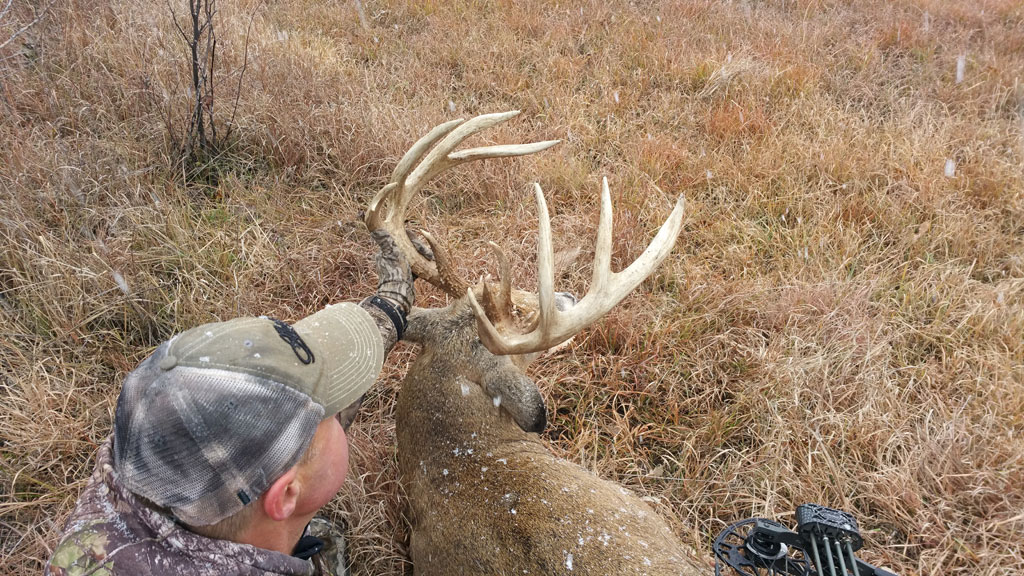 Kansas buck long beams