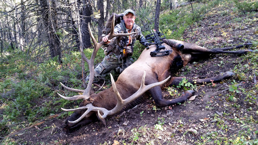 Mark Kayser archery bull elk