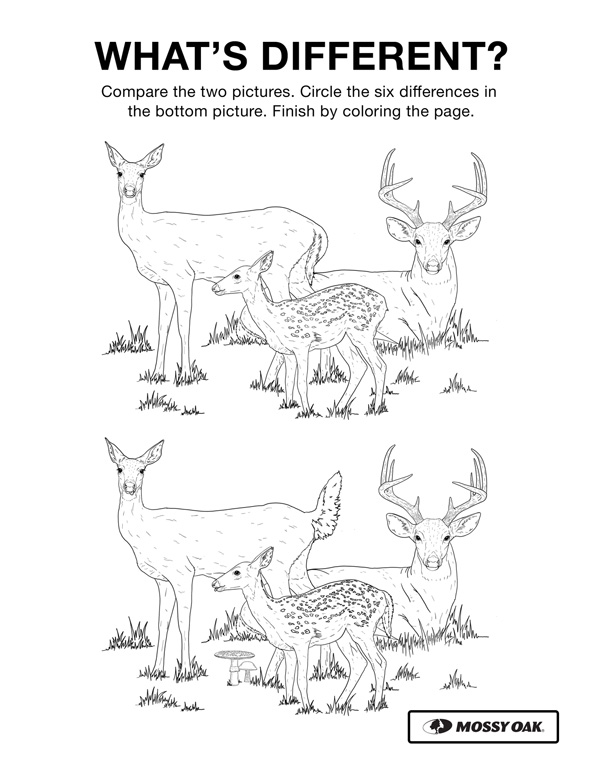 Mossy Oak Kids activity sheet spot the difference