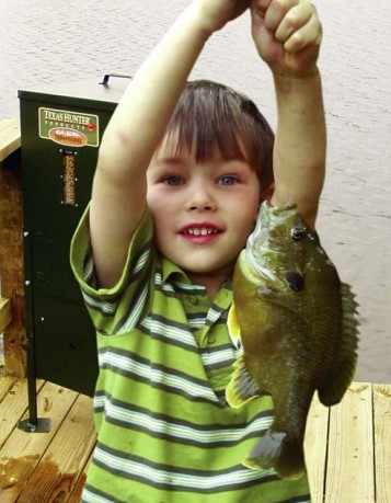 bluegill