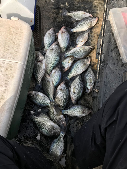 boat full of crappie