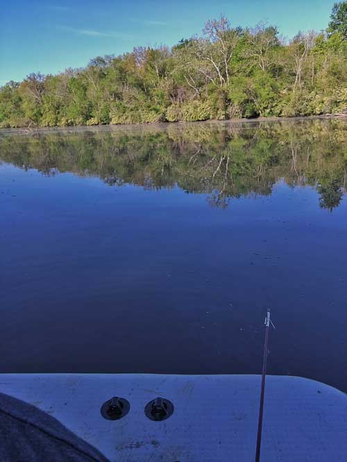 summer bowfishing