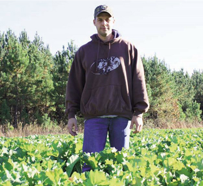 Austin Delano brassica plot