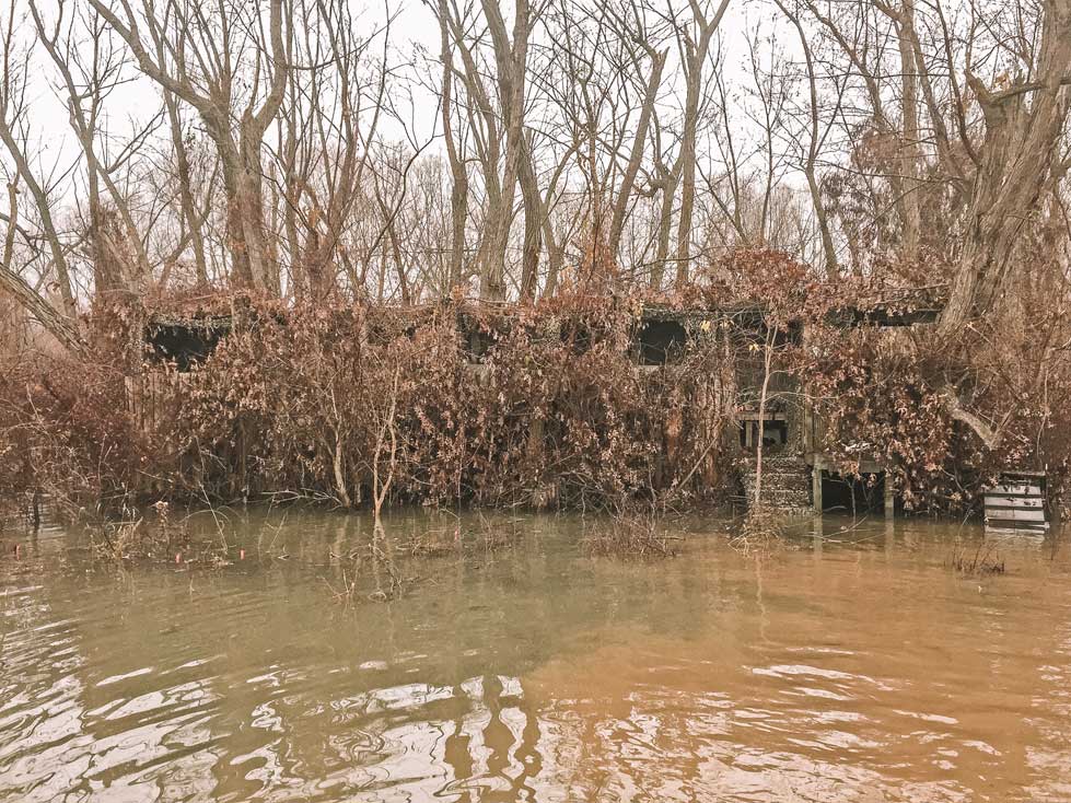 brushed in duck blind