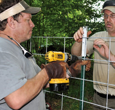 building hog trap