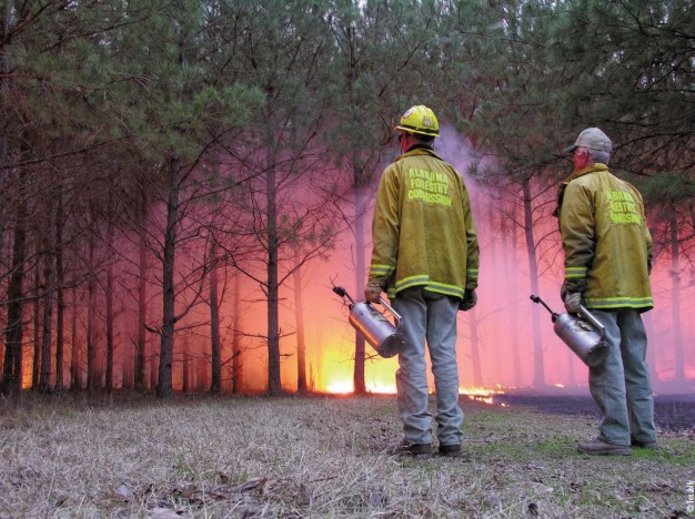 burning pines