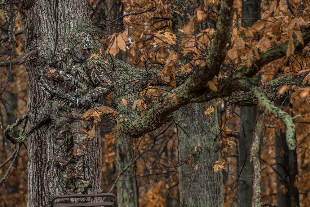 bowhunter in tree stand