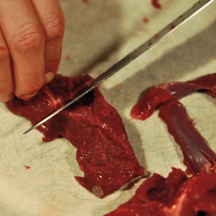 cutting fat off venison