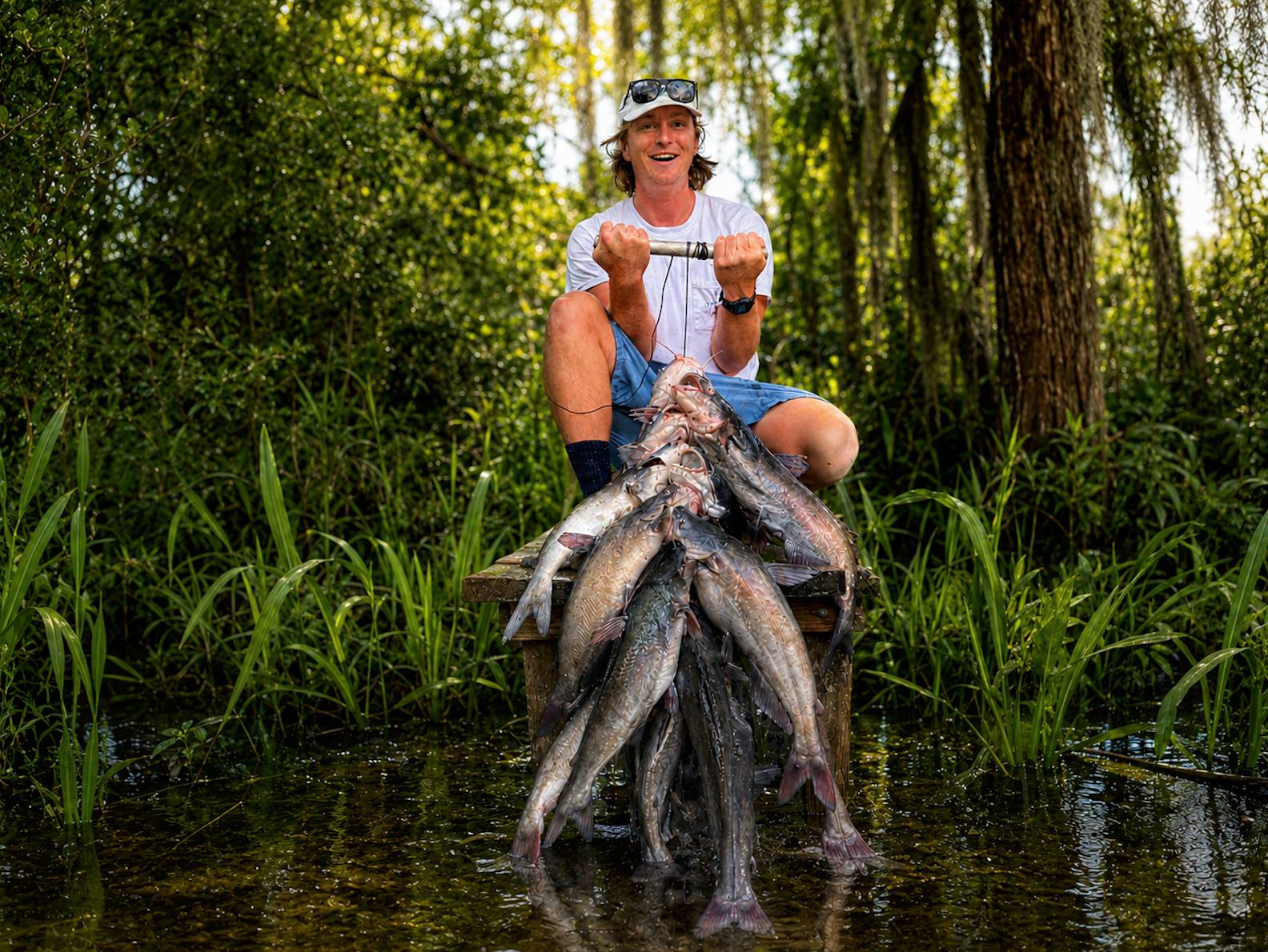 catfish