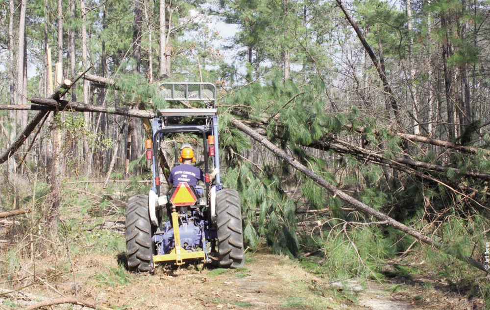 tractor clearing trees