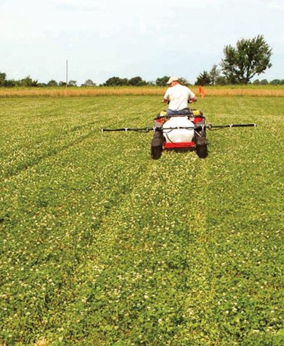 clover spraying