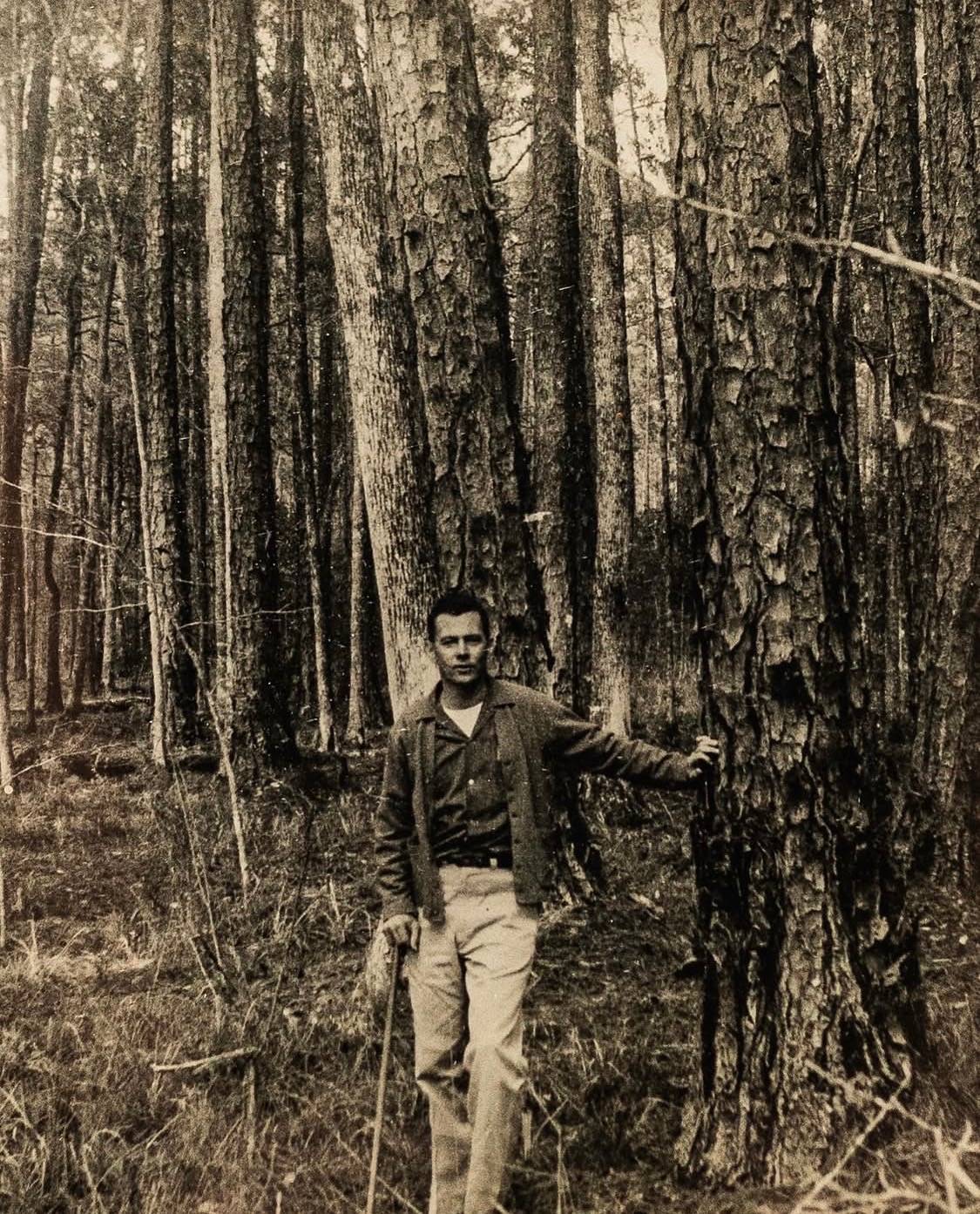 tom kelly forester