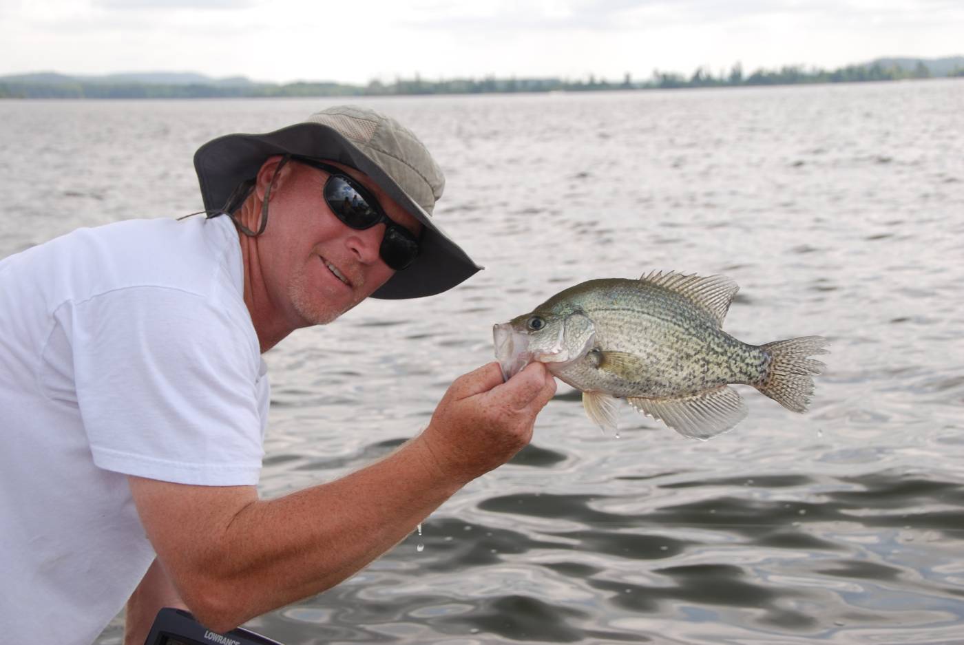crappie