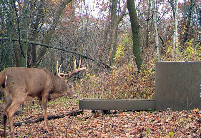 deer watering system