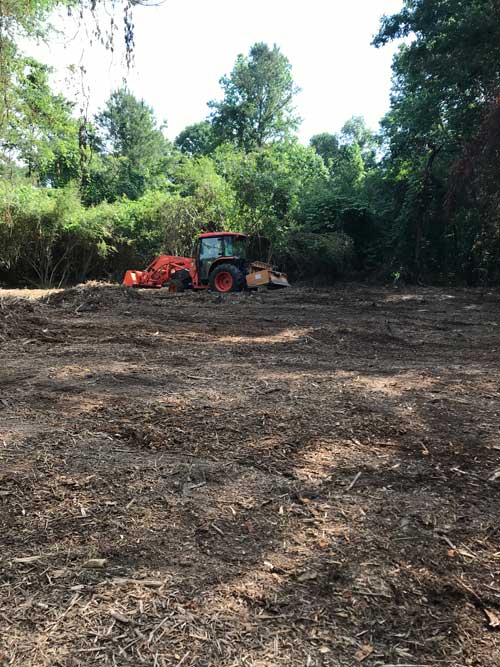 dragging mulch in food  plot