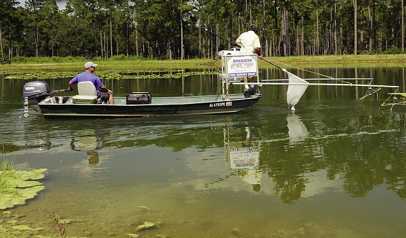 electrofishing biologists