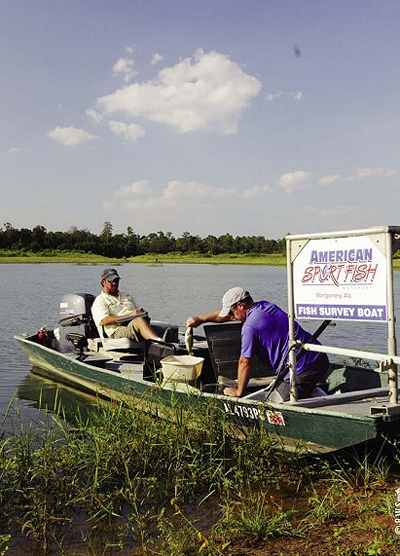 electrofishing sample