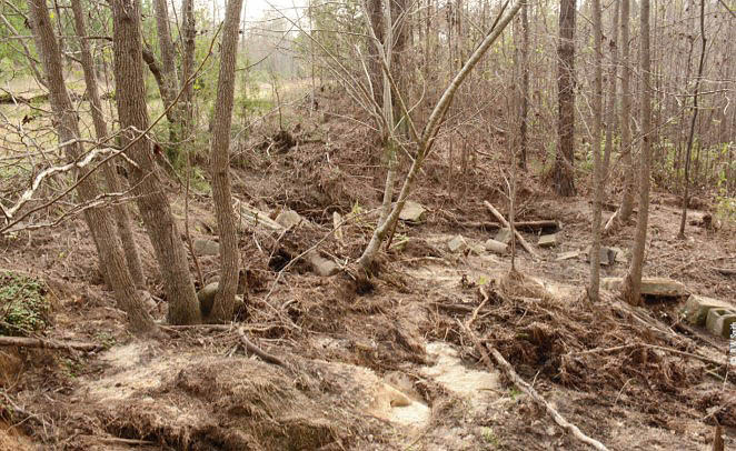 pond runoff erosion