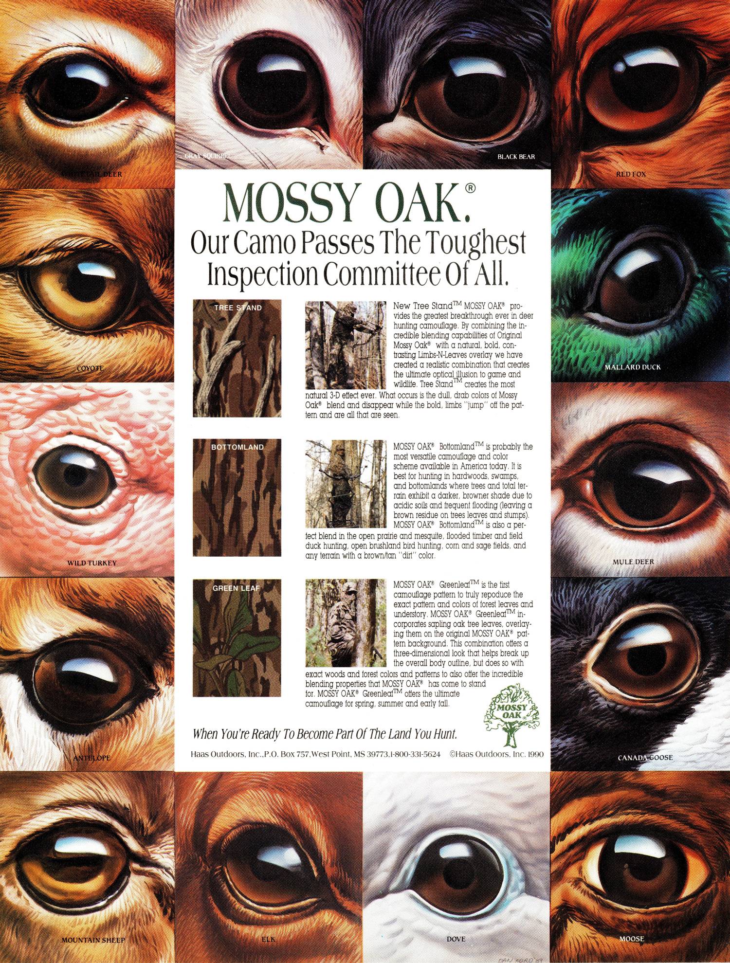 animal eyes ad