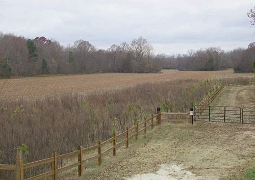 fence line