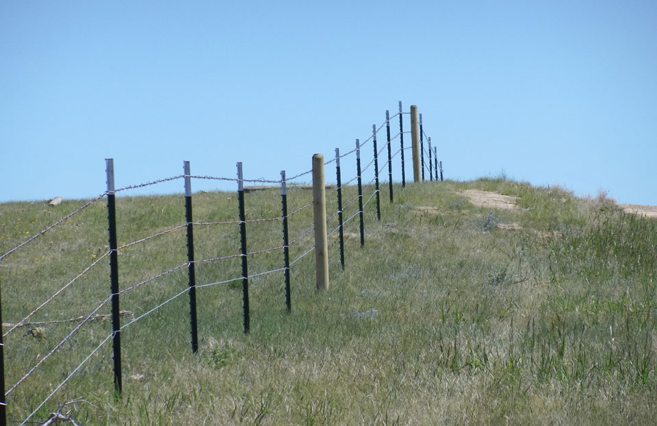 fence row