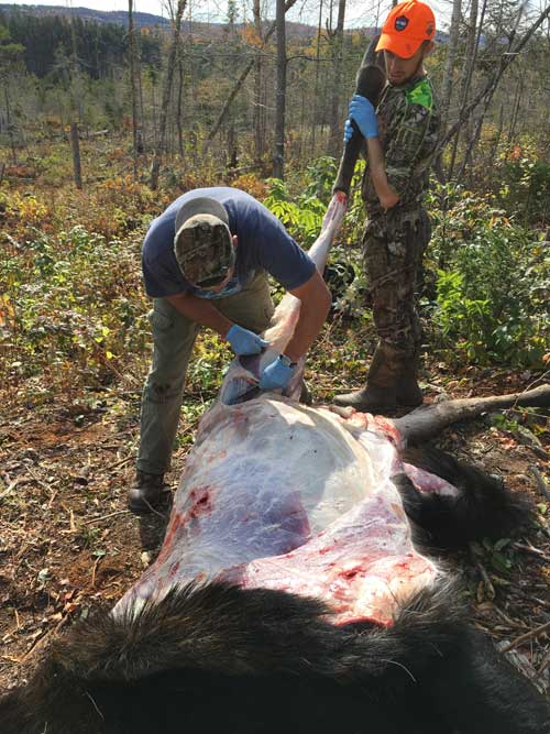 field dressing big game