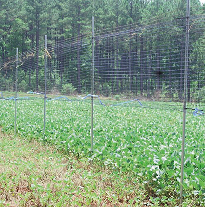 food plot fence