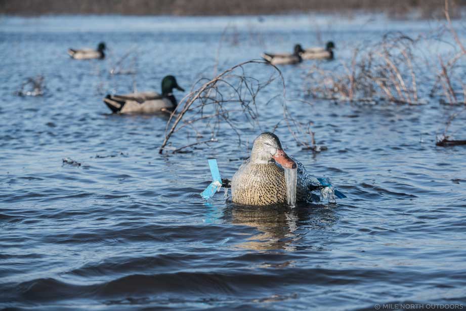 frozen motion decoy