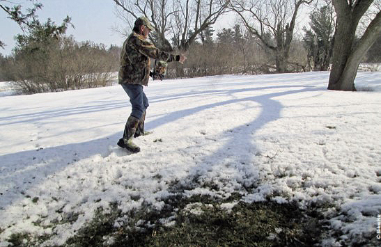 frost seeding