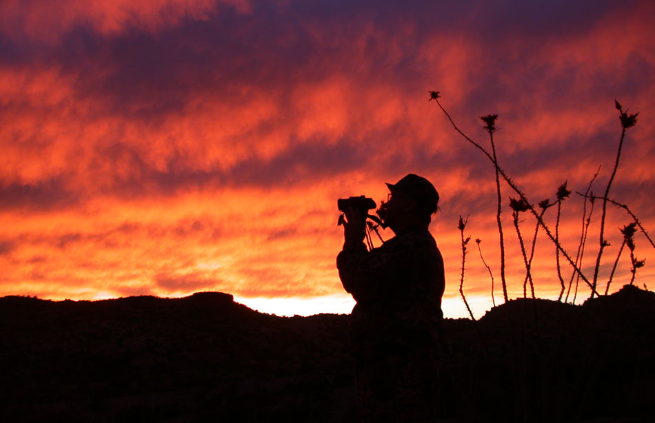 scouting for turkeys