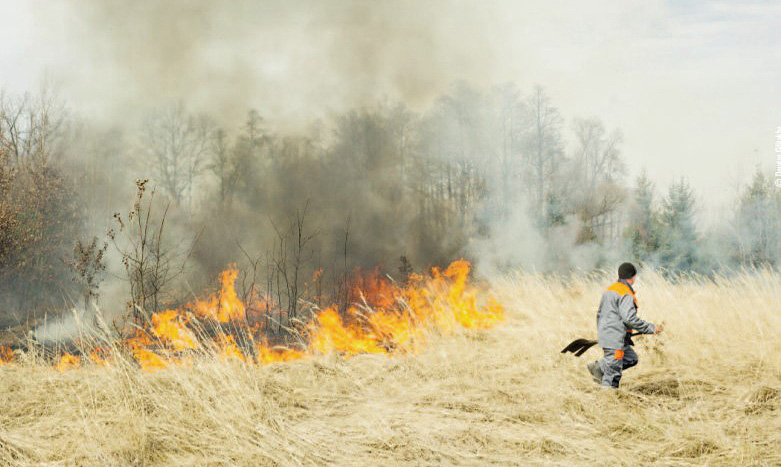 grass fire