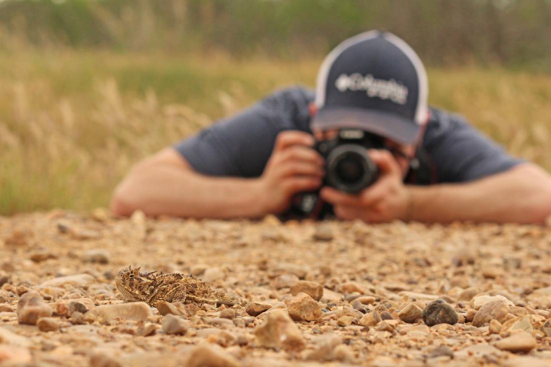 hunting with cameras